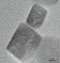 50-400 mesh Transmisyon Elektron Mikroskobu için İthal Nikel Ağın Ortak Karbon Filmi