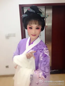 Özelleştirilmiş Sipariş Çin Geleneksel Ünlü Yue Opera Tavuskuşu Uçar Güneydoğu Kahraman LıuLanZhı Mor kadın Kostüm