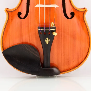 Ücretsiz kargo Keman Christina V08A İtalya profesyonel violino 4/4 yüksek kaliteli Ladin master seviye Keman Durumda